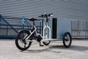 CARGO TRIKES