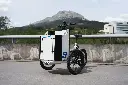 CARGO TRIKES